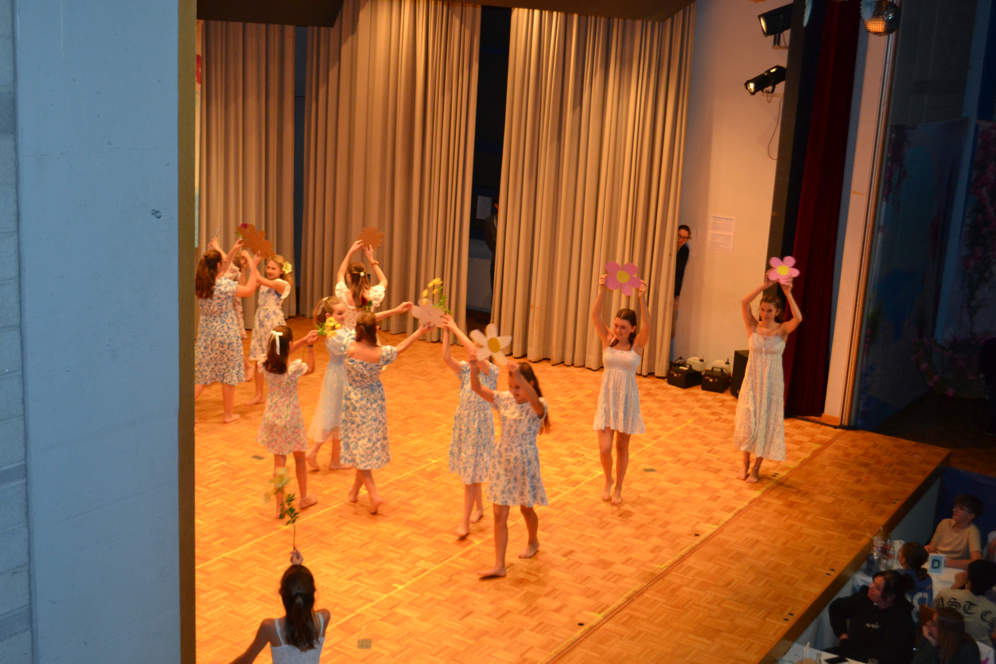 Bild6 (3)